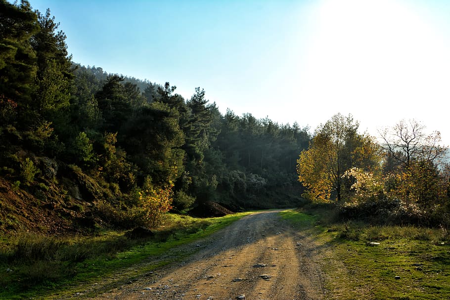 autumn, season, nature, beautiful, outdoor, landscape, background HD wallpaper