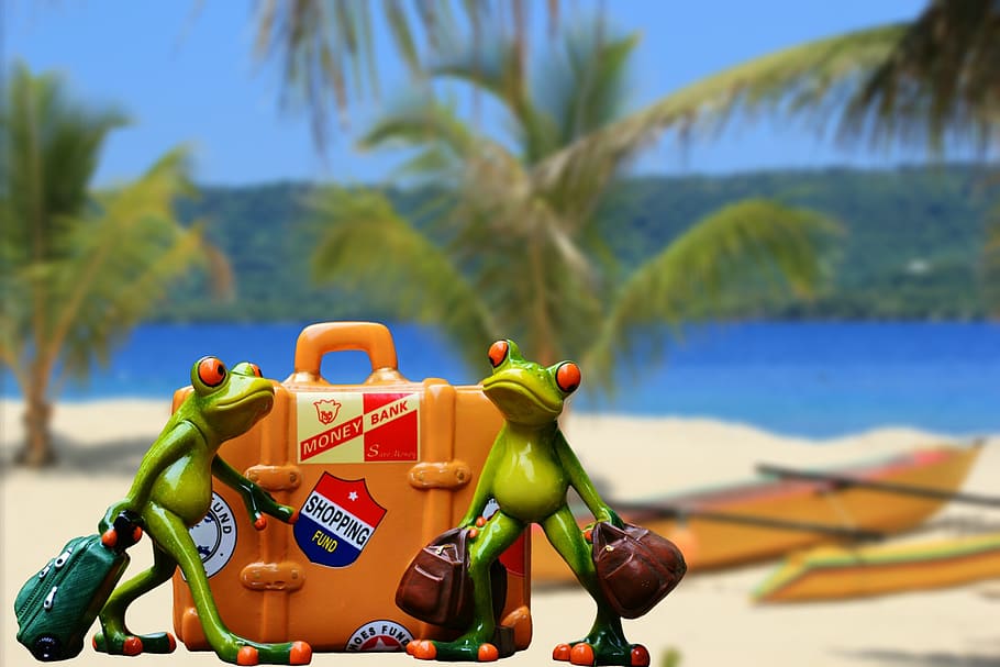 two green frogs holding baggage near orange suitcase on beach HD wallpaper
