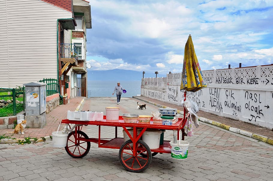 fisherman, cat, mudanya, scholarship, architecture, built structure HD wallpaper