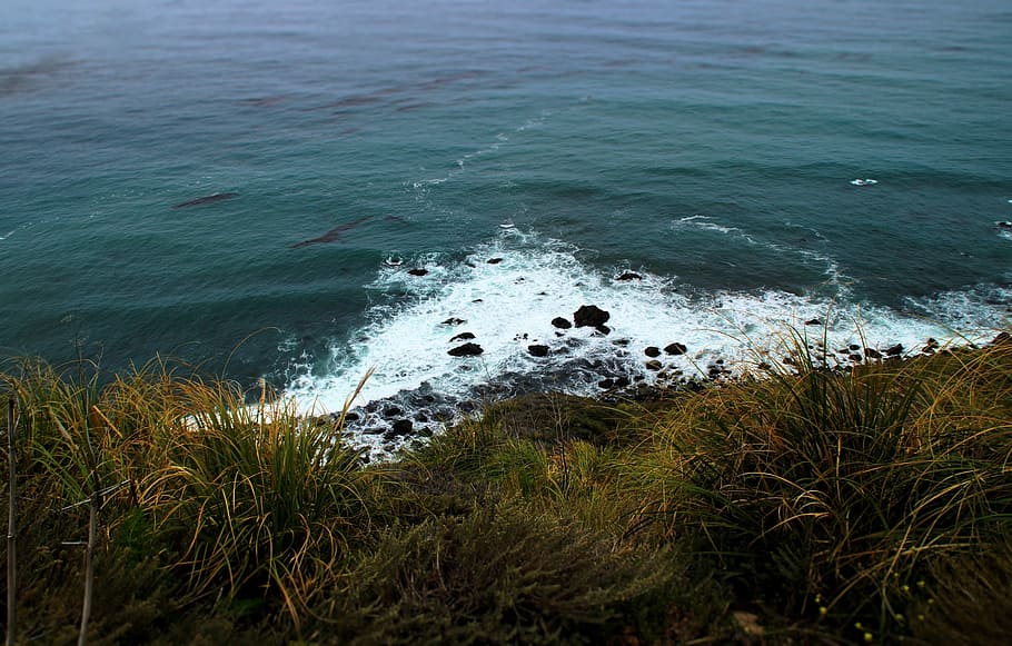 sea waves near grass during daytime, green grasses near the seashore HD wallpaper