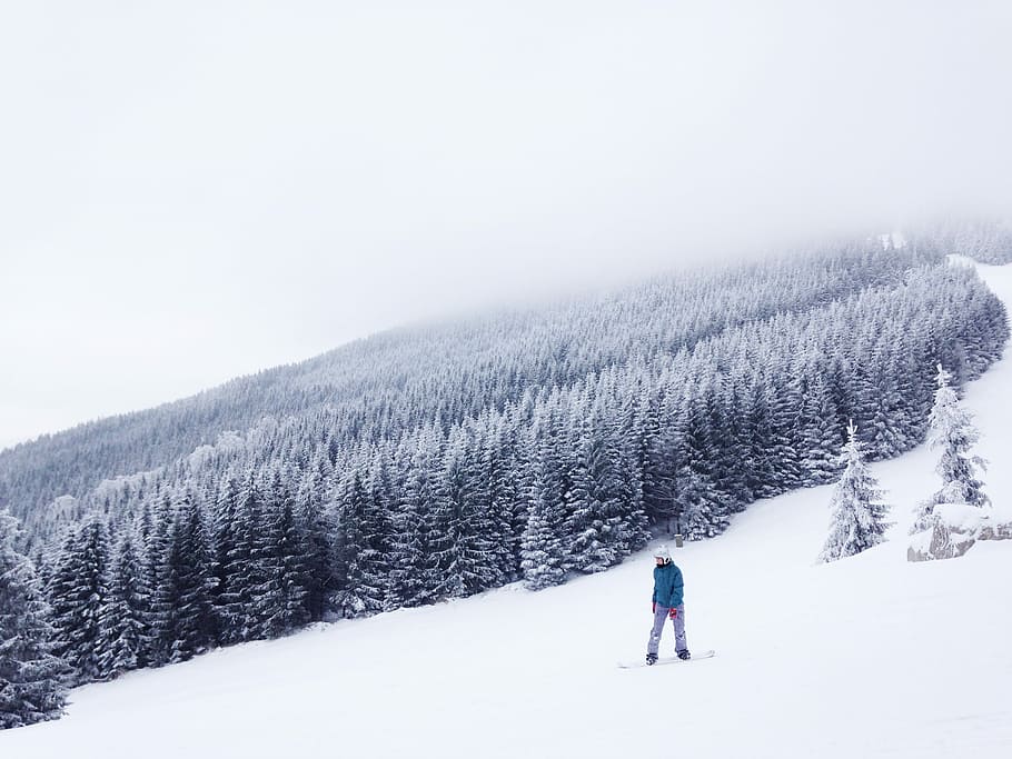 man in blue long sleeved shirt using snowboard behind snow covered trees during daytime HD wallpaper