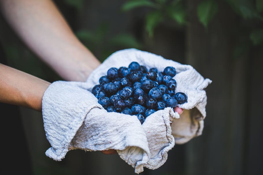 food, healthy, hands, summer, berries, blueberries, bundle, close-up HD wallpaper