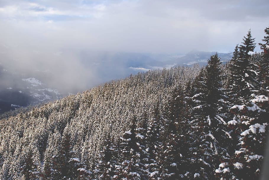 landscape, mountains, hills, trees, peaks, fog, clouds, sky HD wallpaper