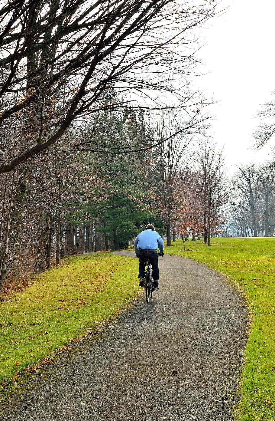 pathway, winter, landscape, track, bicycle, bike, activity HD wallpaper