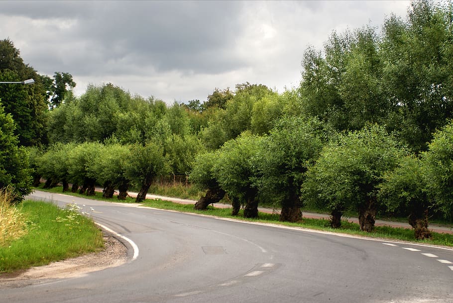 bend, street, road, traffic, curve, asphalt, view, landscape HD wallpaper
