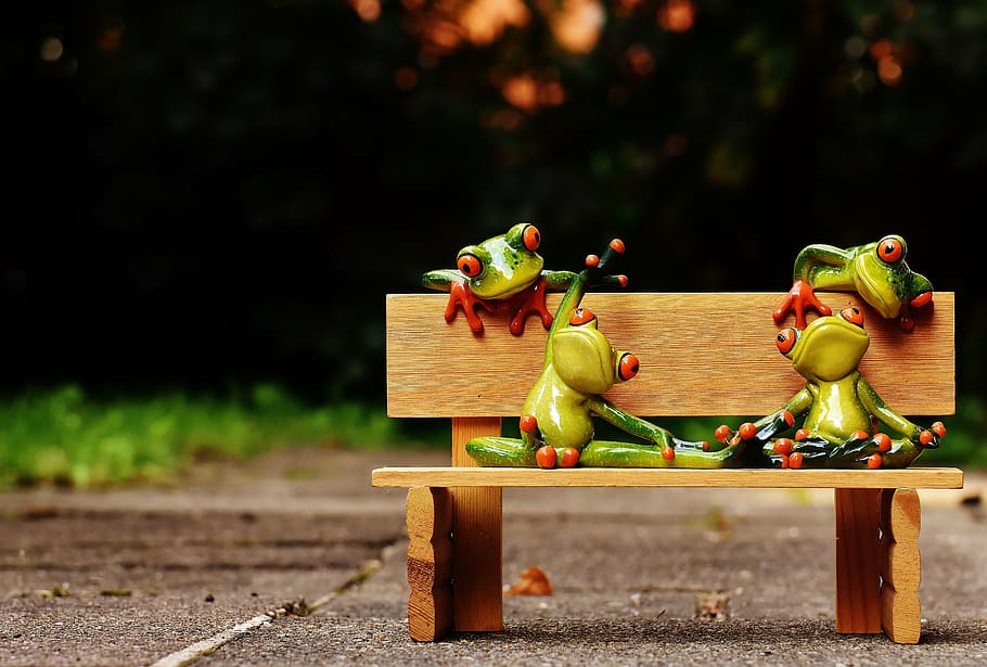 frogs, yoga, bank, bench, relaxed, figure, funny, rest, relaxation HD wallpaper