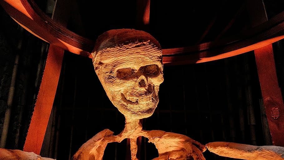 skeleton, night, pirate, dark, october, scary, autumn, halloween HD wallpaper