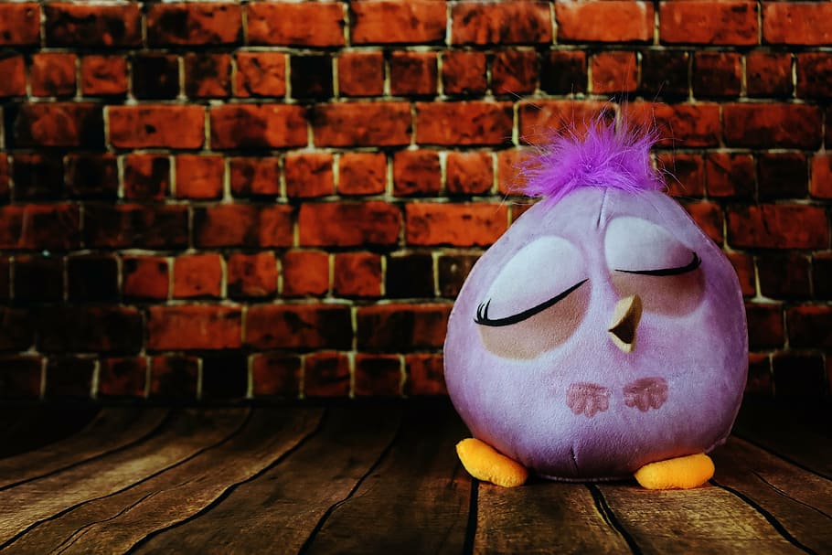 soft toy, bird, feather, toys, fun, funny, cute, brick wall HD wallpaper