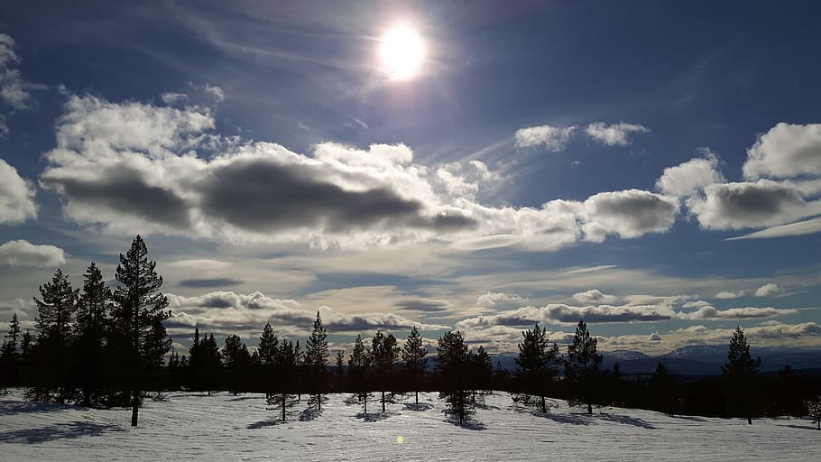 Snowfield With Trees over Clear Blue Skies during Day Time, clouds HD wallpaper