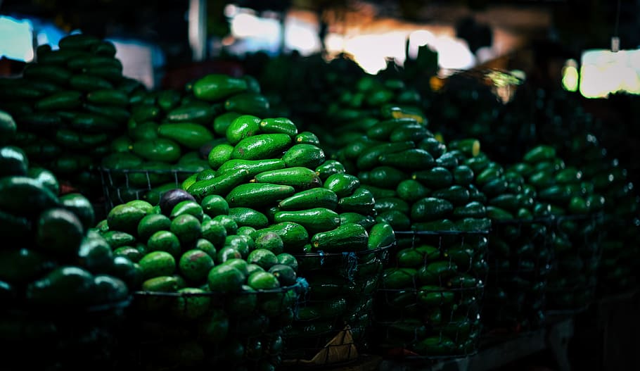 Bunch of Avocados, abundance, agriculture, basket, blurred background HD wallpaper