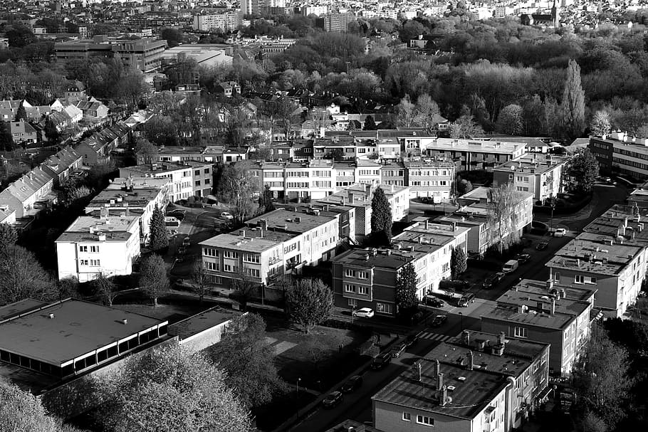 brussels, architecture, black and white, buildings, city, built structure HD wallpaper