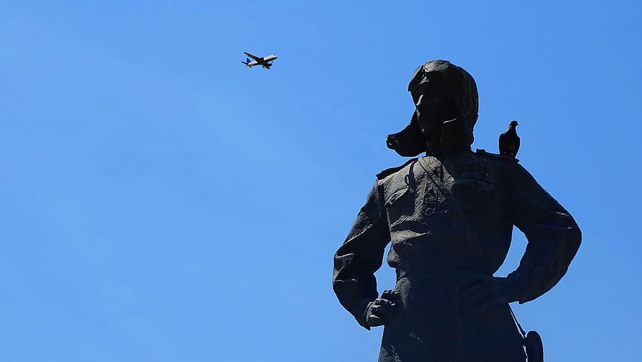 pokryshkin, pilot, plane, victory, dove, sky, blue, clear sky HD wallpaper