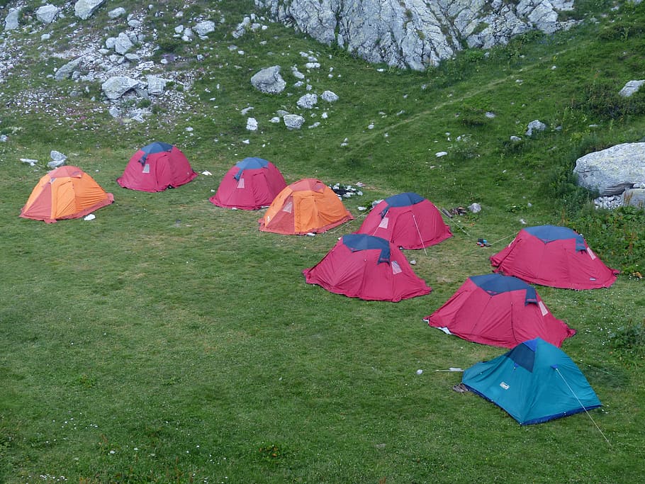 assorted-color dome tents on green grass field, camp, camper HD wallpaper