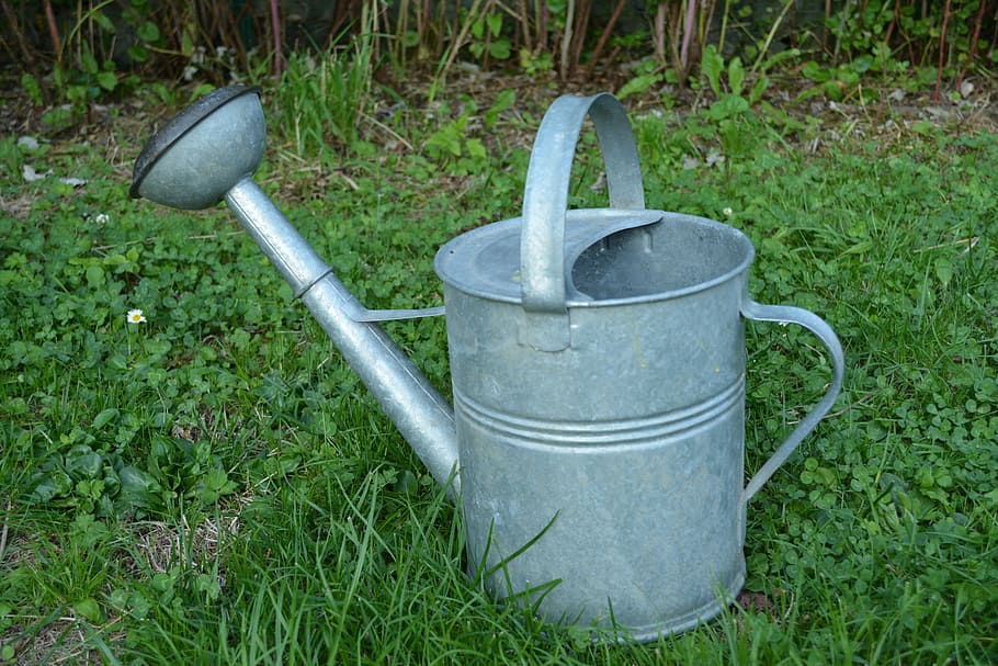 Watering Can, Garden, Vegetable, Vegetable Garden, grass, green color HD wallpaper