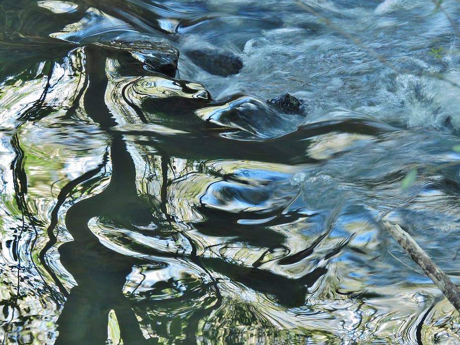 water, horse, river, waterfront, nature, rippled, day, motion HD wallpaper
