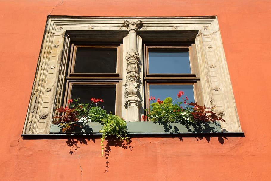 window, dinosaur, flower boxes, architecture, building exterior HD wallpaper