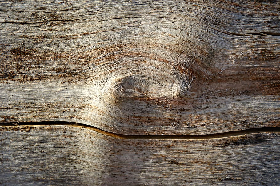 wood, knot, log, timber, grain, rings, dead wood, profile, nature HD wallpaper