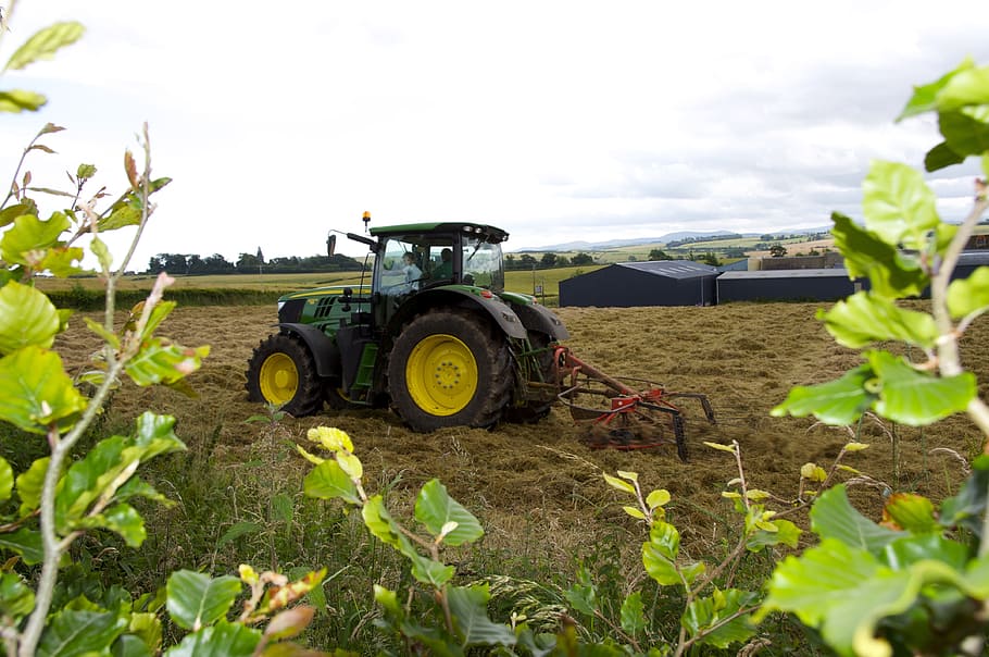 tractor, farm, working, growth, nature, land, plant, field HD wallpaper