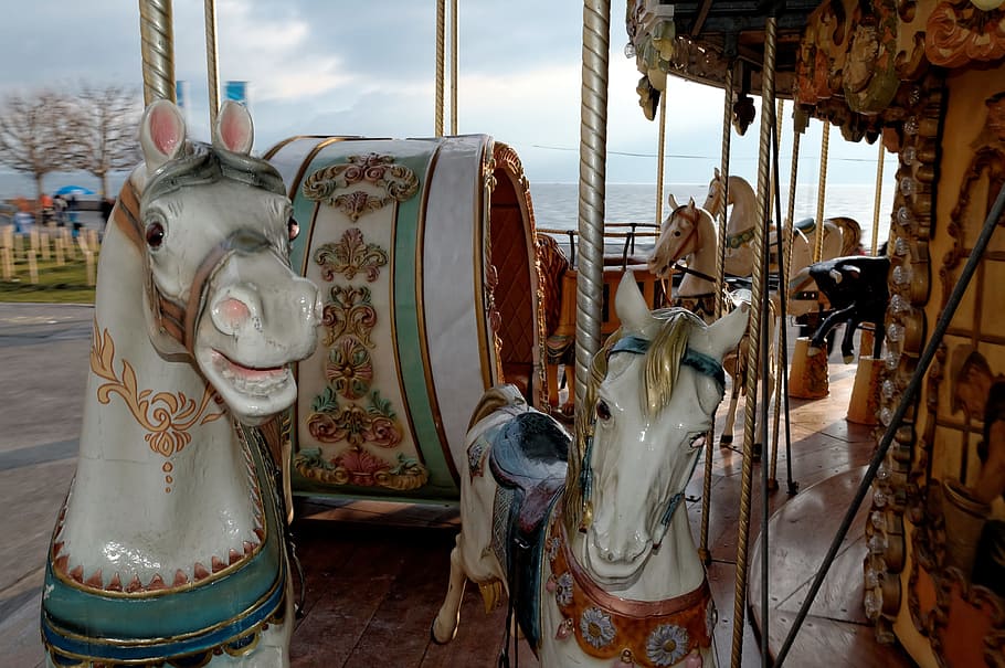 carousel, old, horses, historically, fair, places of interest HD wallpaper