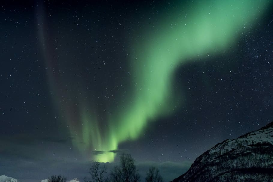 Aurora Borealis, aurora borealis sky during nightie, dark, northern light HD wallpaper