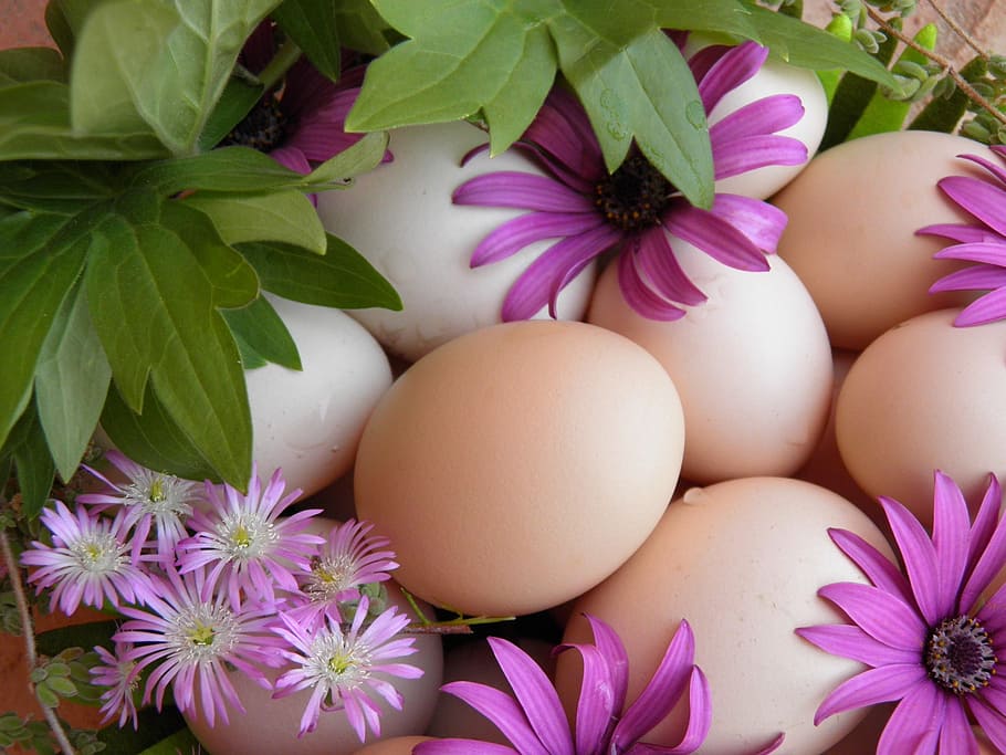 Easter Egg Hunt, Garland, holiday, celebration, spring, decorative HD wallpaper