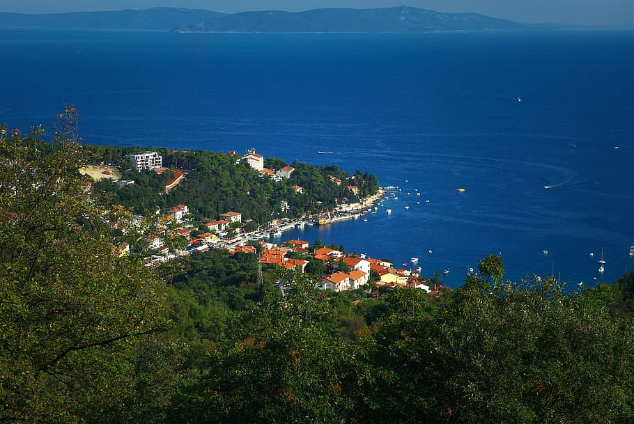 aerial photography of village and trees near blue body of water HD wallpaper