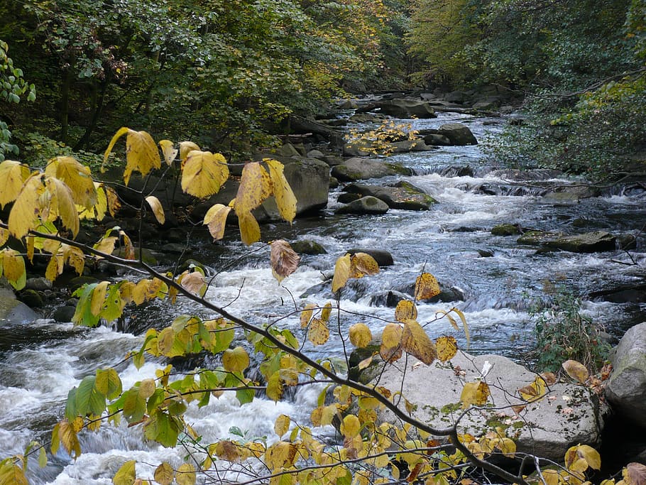 water, fall color, mountain stream, boulders, bach, river, fall leaves HD wallpaper