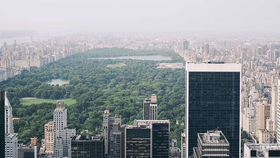 aerial photo of Central Park, New York, New York Central Park, U.S.A. during daytime HD wallpaper