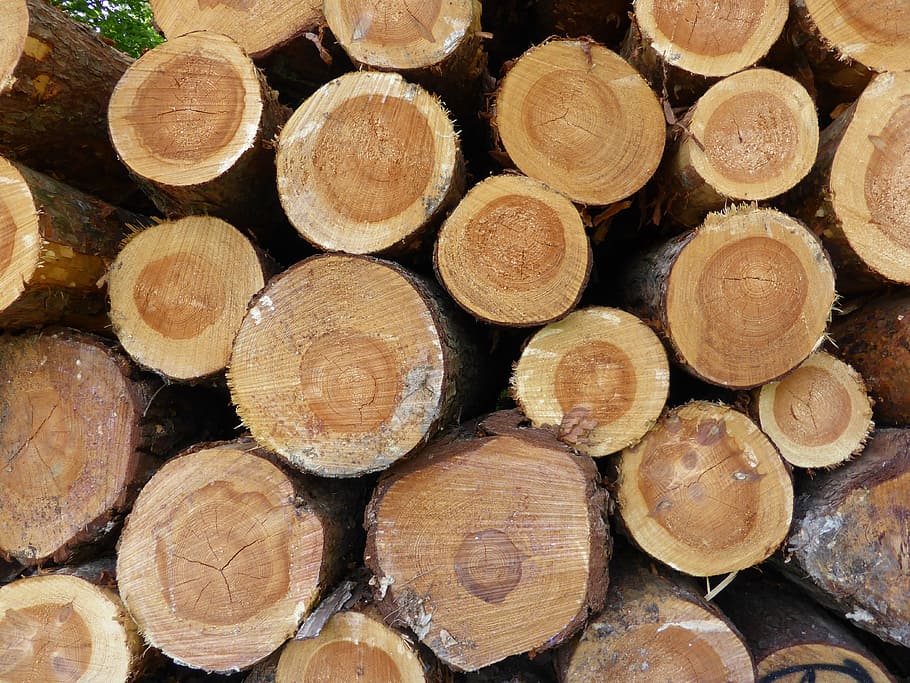 tree trunks, nature, wood, nature recording, strains, holzstapel HD wallpaper