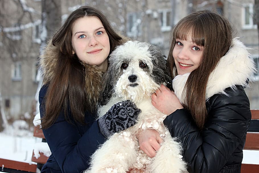each, dog, animals, devotion, view, the dog's eyes, girls, togetherness HD wallpaper