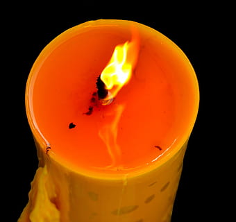 Candle, Wick, Dark, Black, Black, Flame, Lit, wax, burning HD wallpaper