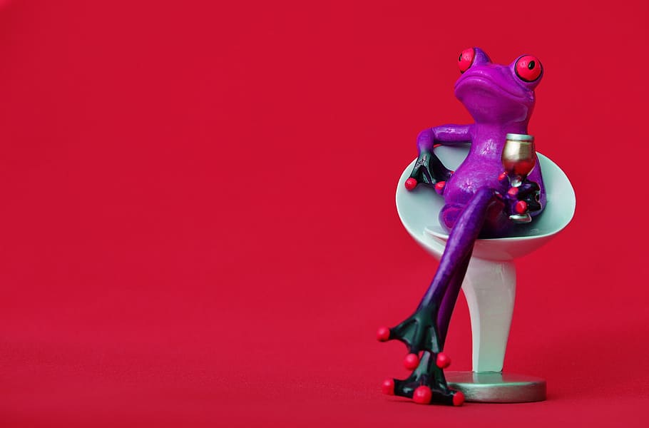 frog, chair, cozy, drink, wine, soaked, cute, sweet, funny HD wallpaper