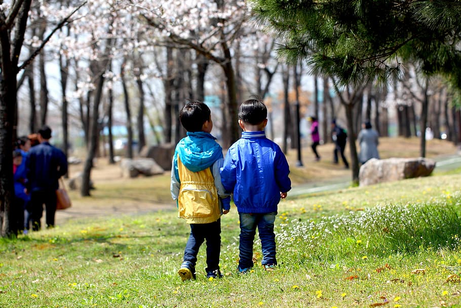 two toddlers standing side-by-side on green grassy plain during day HD wallpaper