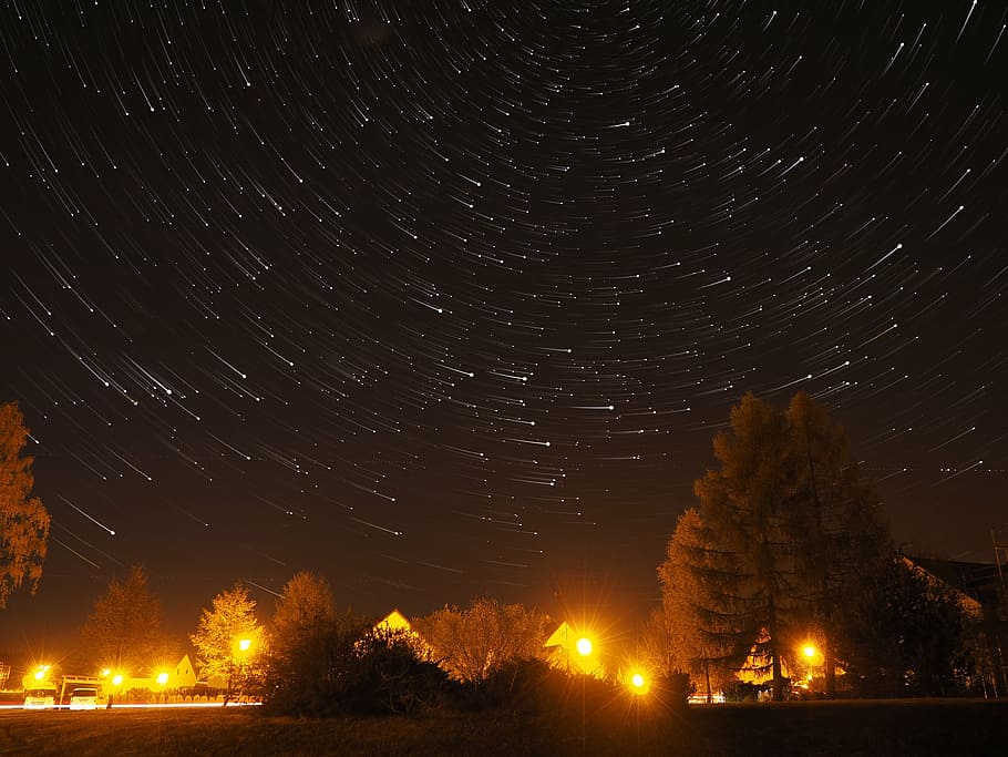 brown and black lighted trees under gray sky at nighttime, star HD wallpaper