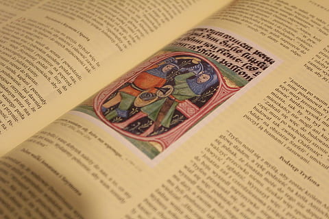 book, page, text, read, passage, text passage, book page, literature HD wallpaper