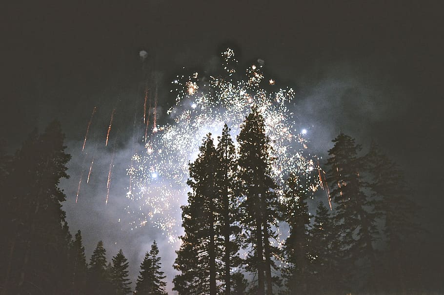 2016, fireworks, forest, new year's eve, sylvester, firework display HD wallpaper