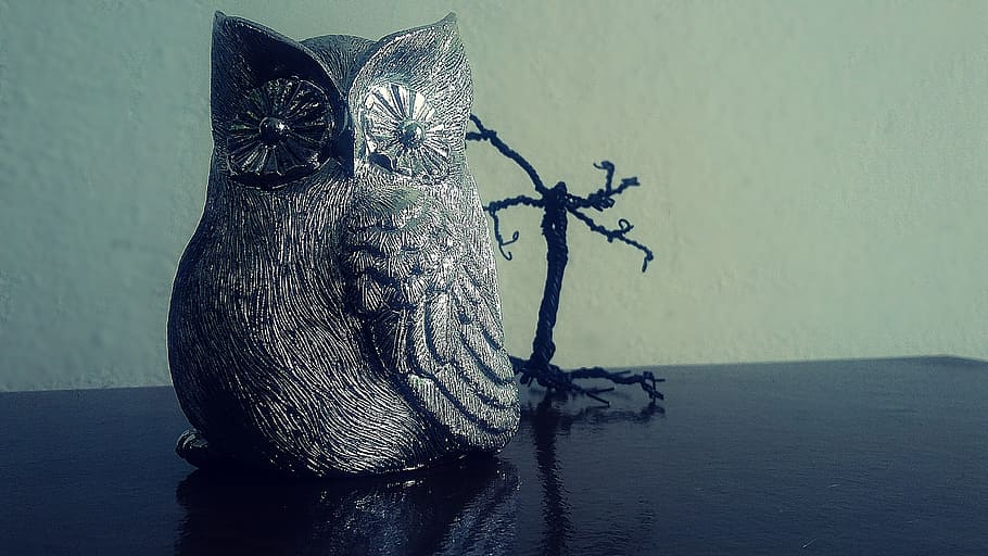 owl, wisdom, garnish, bibel, education, pedagogy, letters, no people HD wallpaper