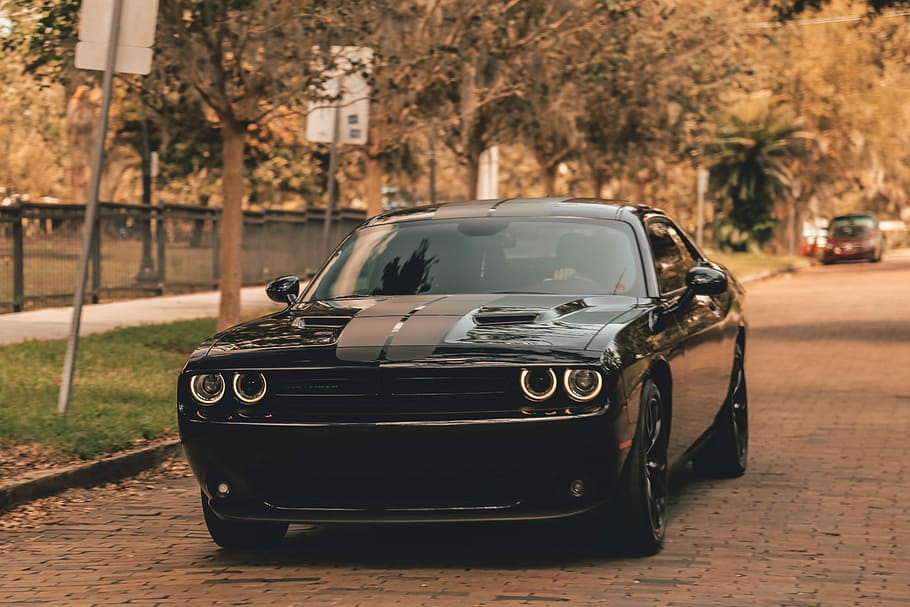 black coupe on concrete road, black Dodge Challenger on road near trees
