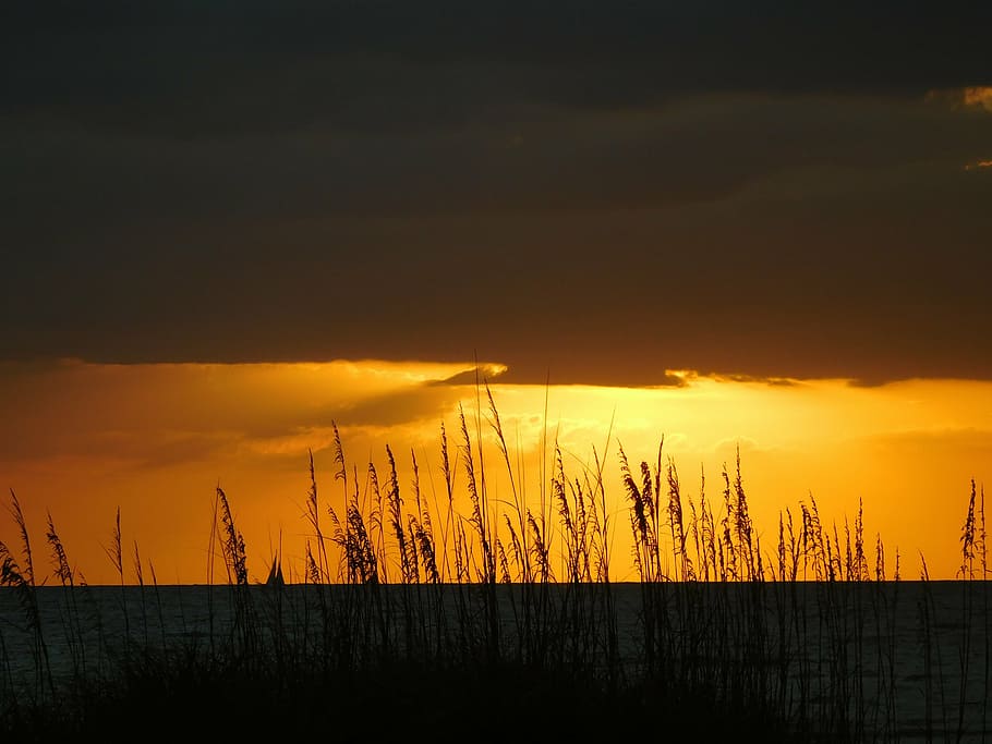 sunset, sunlight, landscape, evening, beach, sky, cloud - sky HD wallpaper