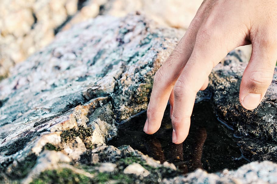 rock, water, reflection, hand, nature, human hand, human body part HD wallpaper