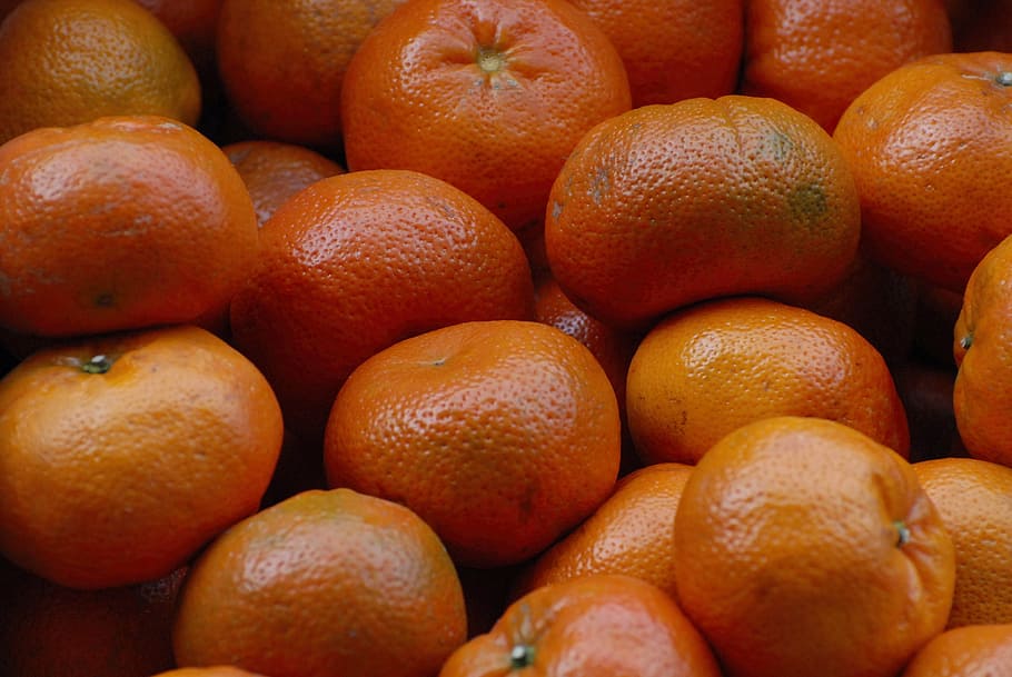 tangerine, murcot, fruit, healthy eating, food, food and drink HD wallpaper