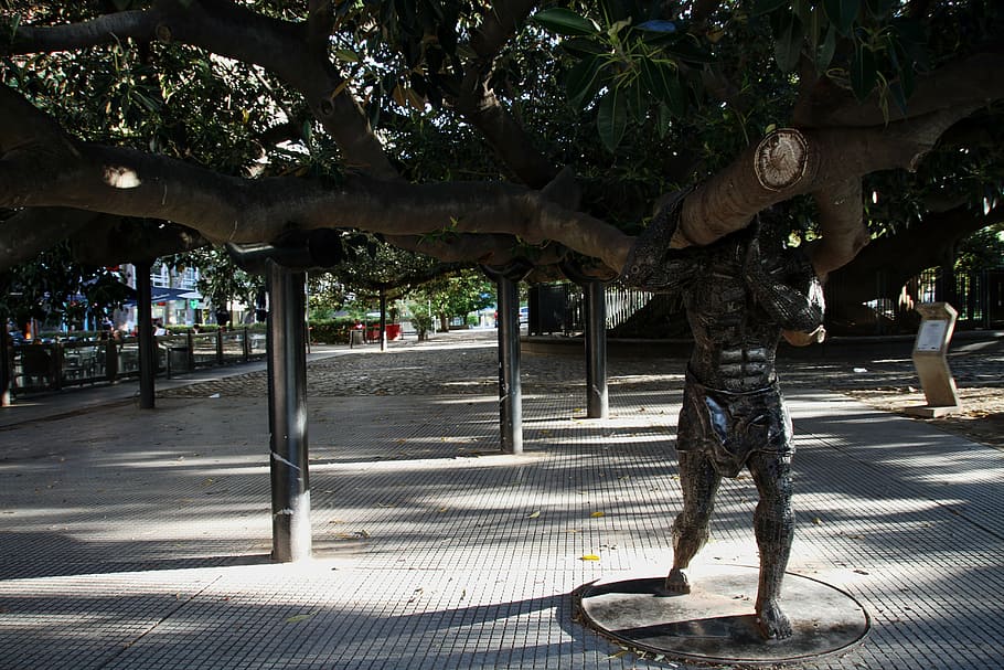 tree, giant, buenos aires, old, large, trunk, plant, real people HD wallpaper