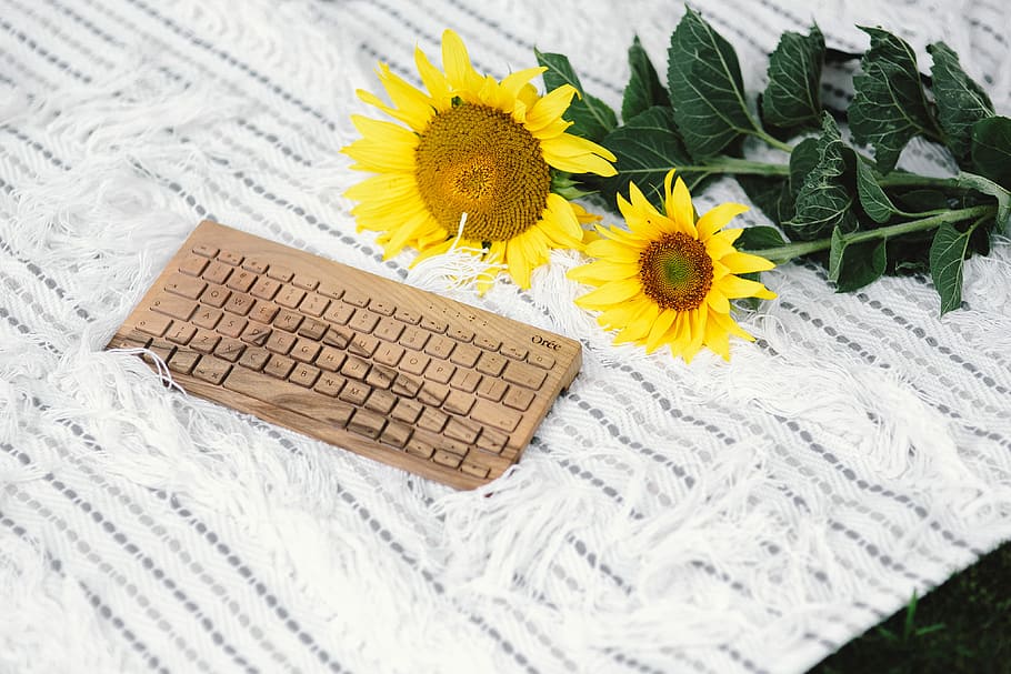 Resting on a blanket, summer, white, tech, keyboard, technology HD wallpaper