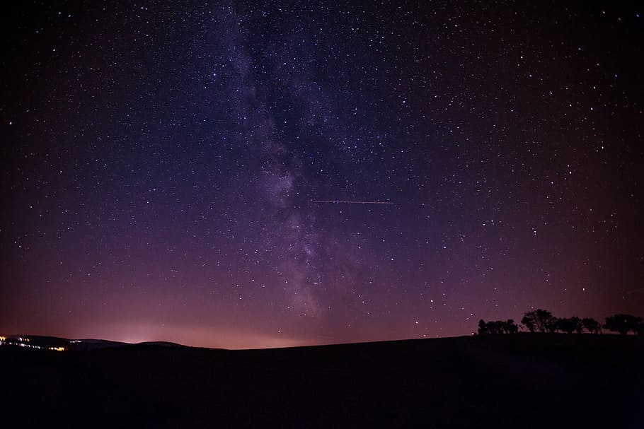 silhouette of trees at nighttime, silhouette of trees under milky way and star filled sky long exposure photography HD wallpaper