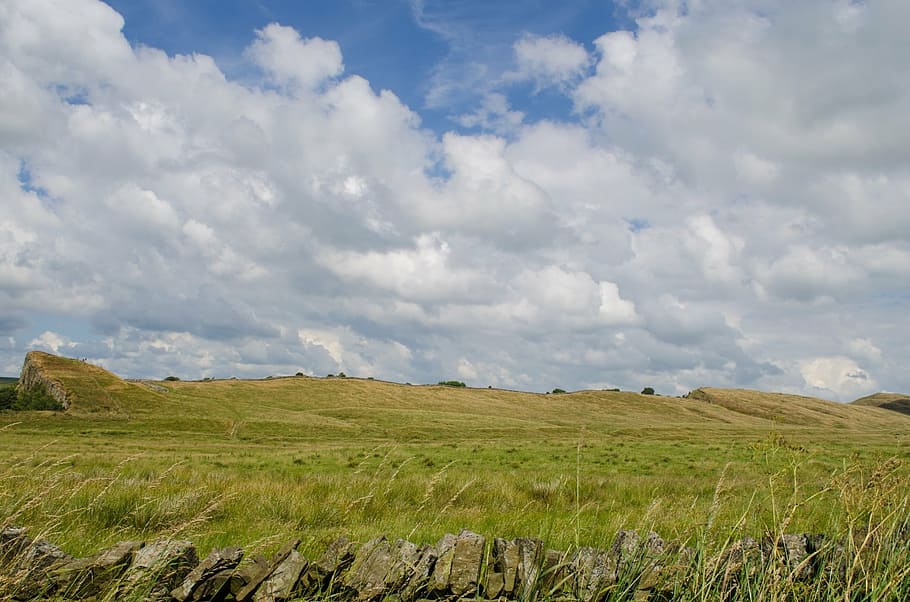 landscape, spring, summer, england, green, nice, tree, nature HD wallpaper