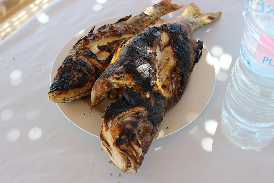 grilled fish, food, seafood, delicious, fresh, food and drink HD wallpaper