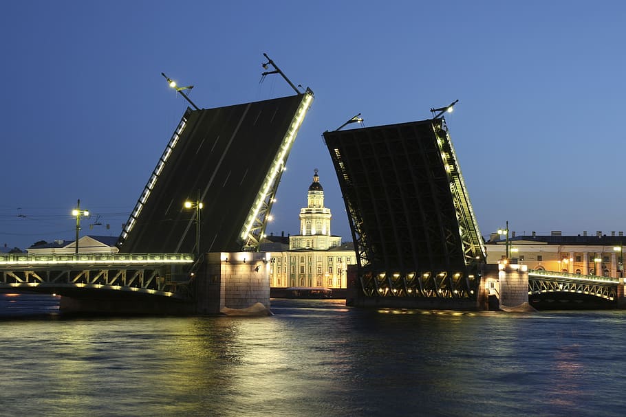 russia, bridge, petersburg, white, night, river, neva, water HD wallpaper