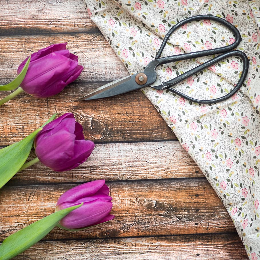 green, leaf, tulip, flower, wooden, floor, table, cloth, freshness HD wallpaper