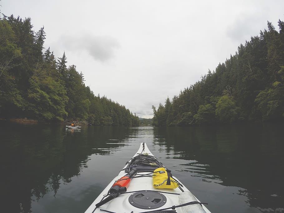 landscape photo of river, white and black boat on body of water HD wallpaper