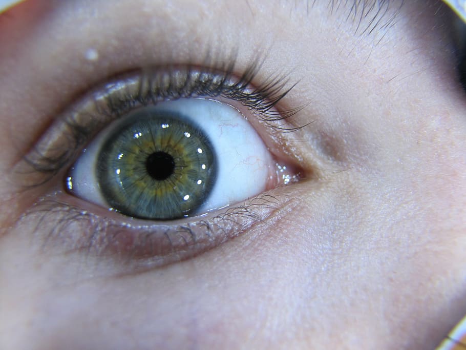 eye, macro, iris, pupil, eyesight, human body part, sensory perception HD wallpaper